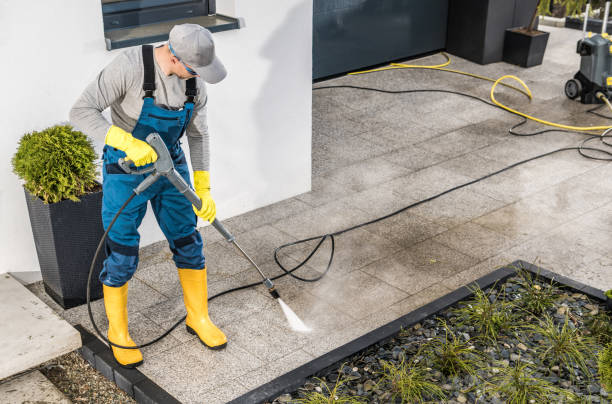 Best Pressure Washing Driveway  in Lees Summit, MO